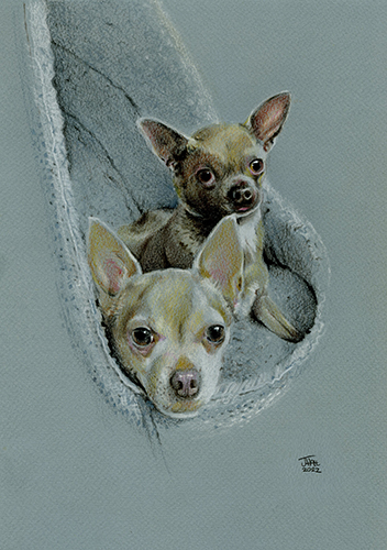 Chico & Chilli